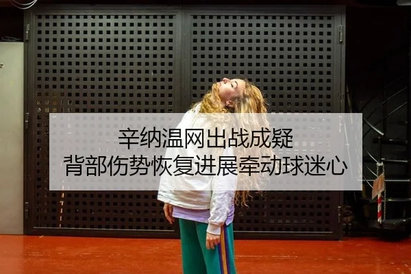 辛纳温网出战成疑 背部伤势恢复进展牵动球迷心